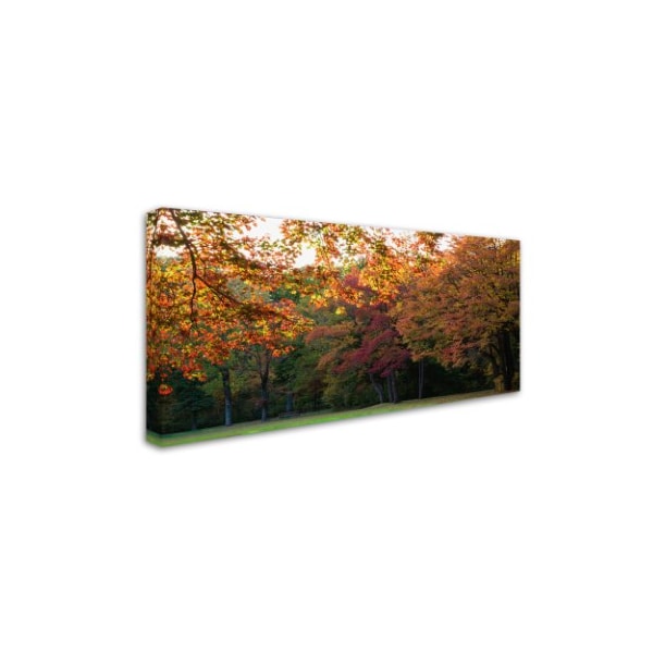 Kurt Shaffer 'Brilliant Autumn In The Park' Canvas Art,24x47